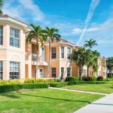 Palm Grove Drive